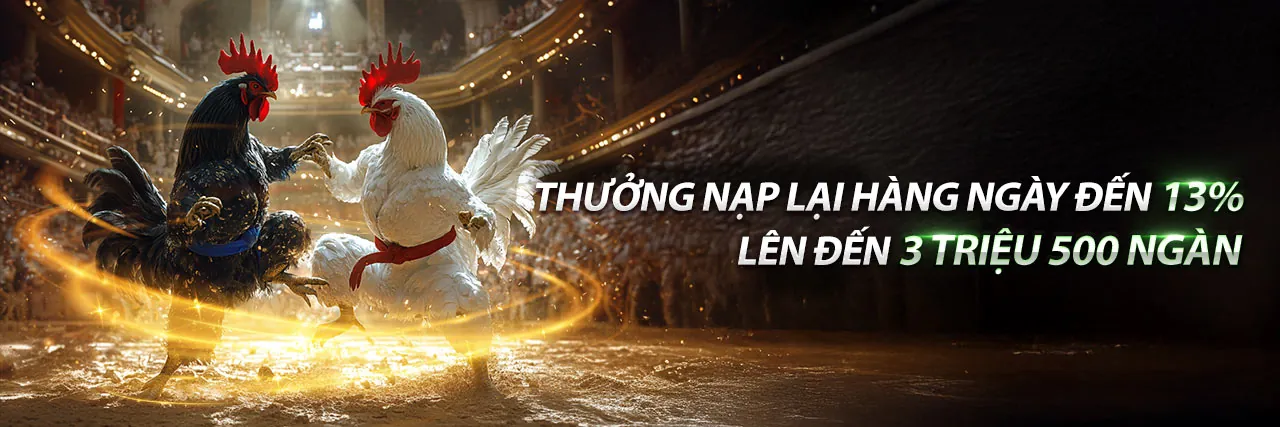 Đá Gà Trực Tuyến b888bet link vào 2026