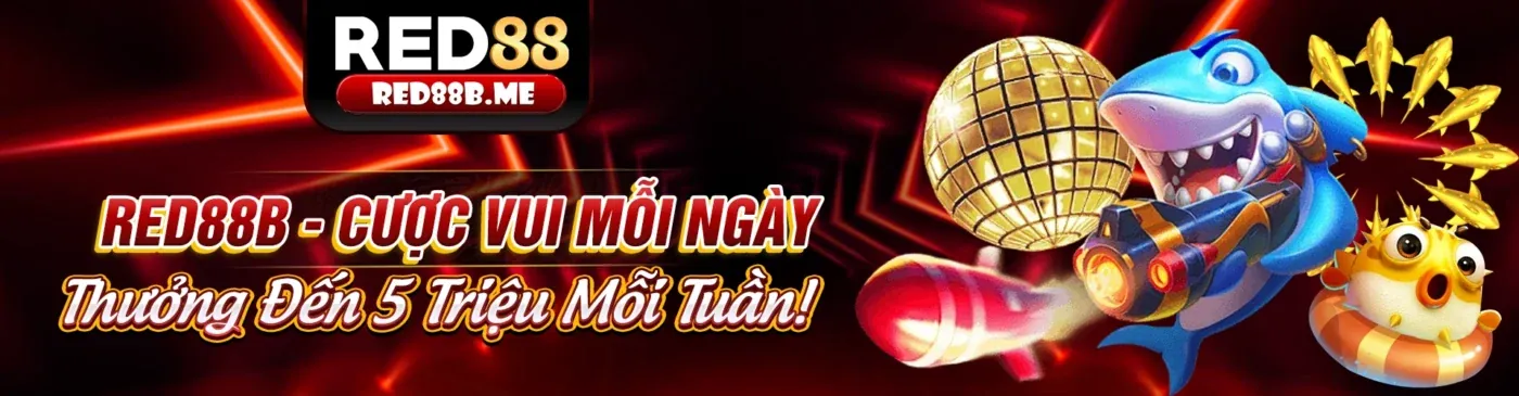 Tin tức b888bet link vào: Cập nhật mới nhất về cá cược trực tuyến và ưu đãi 2026